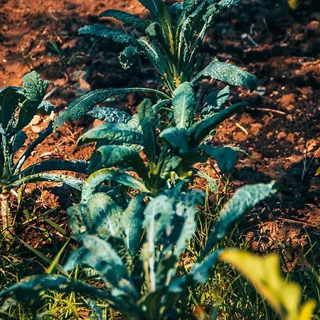 Rambuje 호텔 Lezhë