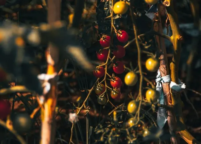 Hotel Rambuje Lezhë